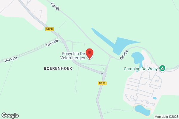 Veldruitertjes Ponycl, De
