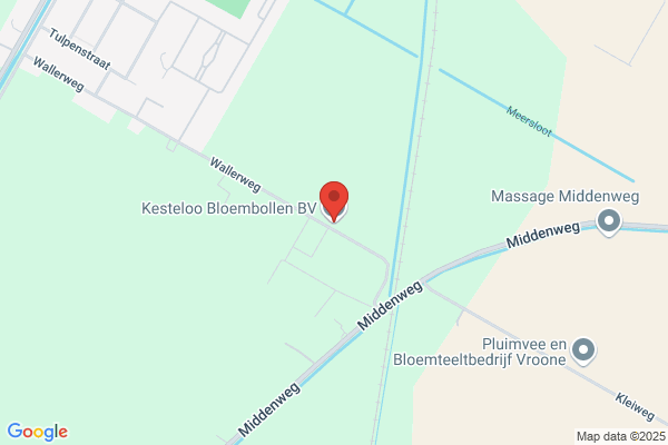 Kesteloo Bloembollen Bv