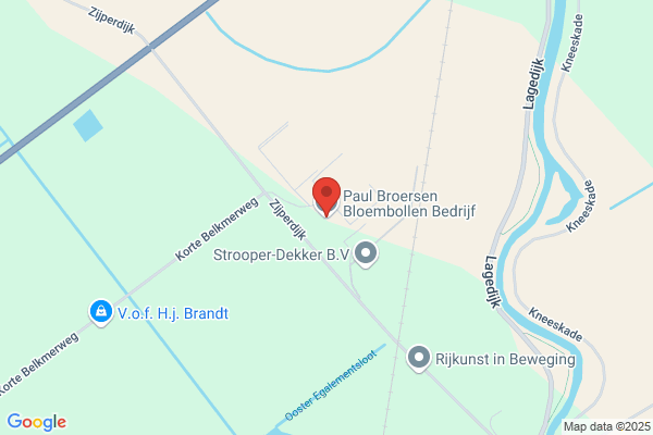 Broers, Dick