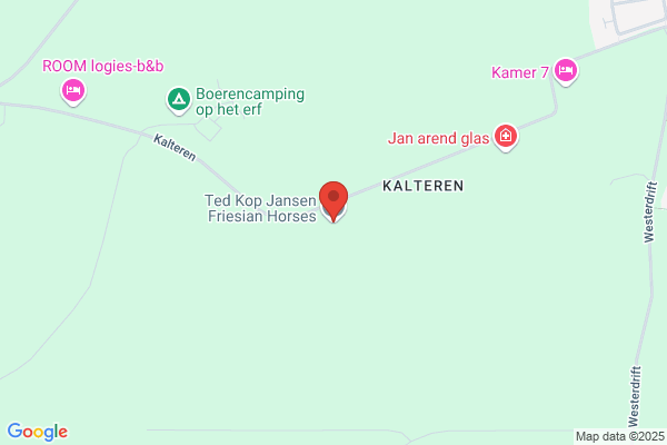 Kop Jansen, I