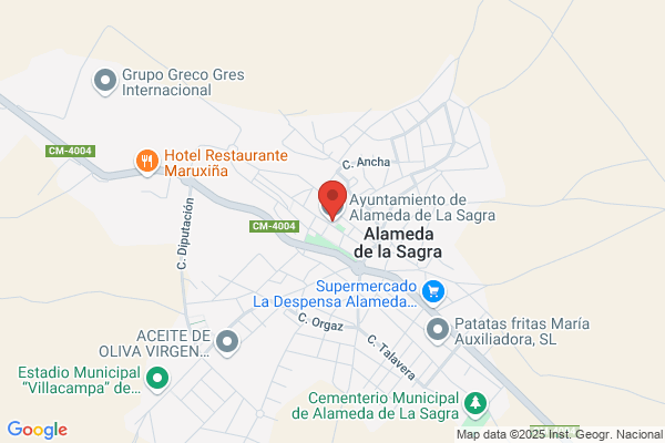 Ayuntamiento De Alameda De La Sagra