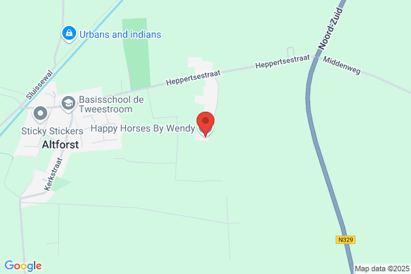 Happy Horses by Wendy