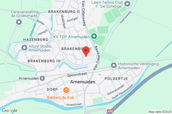 Acupunctuur Louwe A.P. Kooijmans De Nooijer