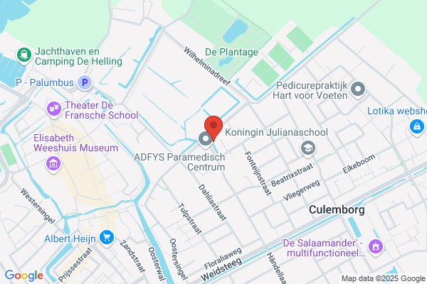 Volition, Webdesign