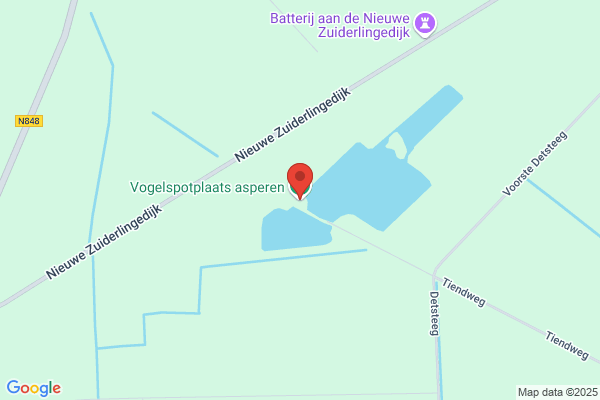 Postd Ver De Snelle Vogel