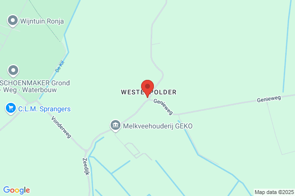 Steenhuisen, W M