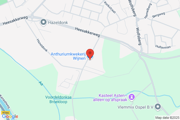 Ad Wijnen Rotsplanten