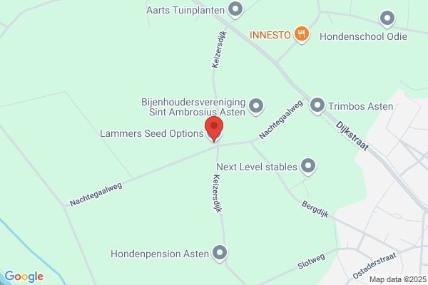 Lammers Bv, Gebr