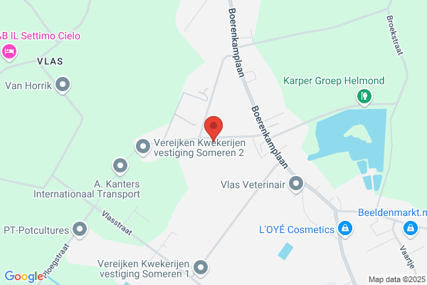 Graphic Services Someren