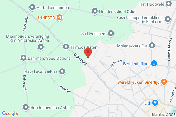 Stichting Jong Nederland