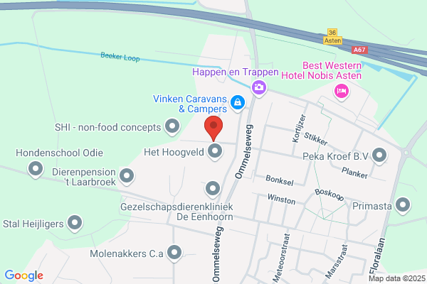 Voort, Van De
