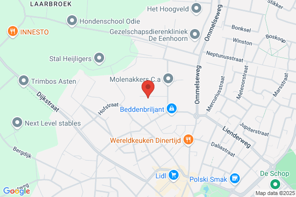 Aannemersbedrijf & Timmerbedr Bree Gebr v
