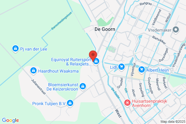 Konijn