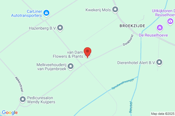Bloemenkwekerij W Van Damme