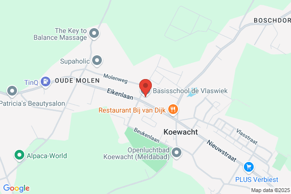 De Vlaswiek