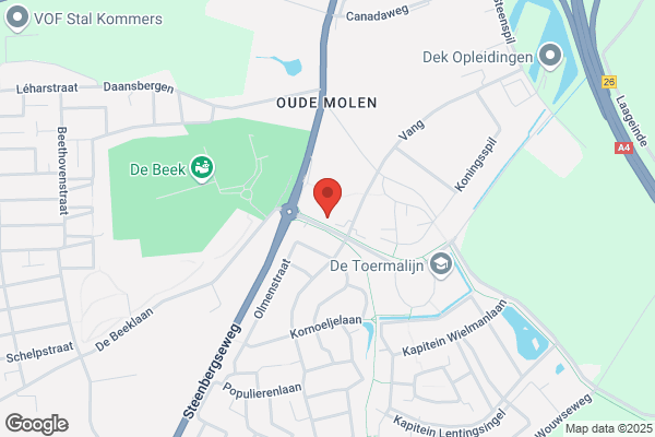 Letsel Impact Belangenbehartiging