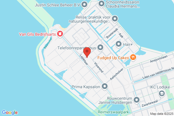 Steijn