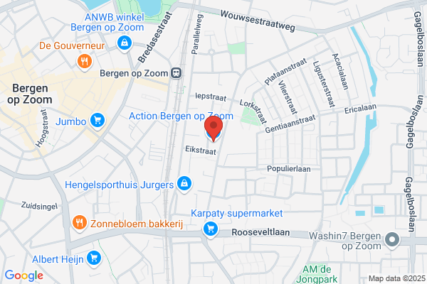 Action Bergen op Zoom