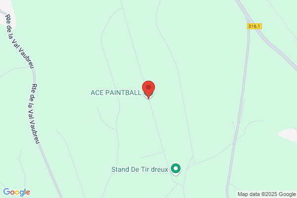 Ace Paintball