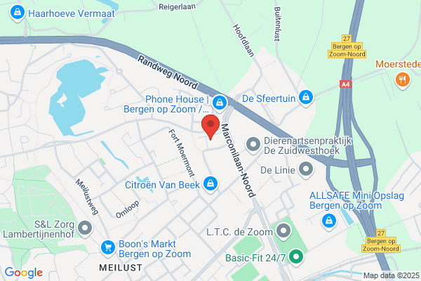 A & X Wassalon