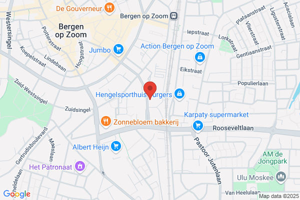 Vraagwijzer Bergen op Zoom