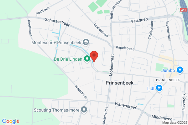 Visschers, Ineke