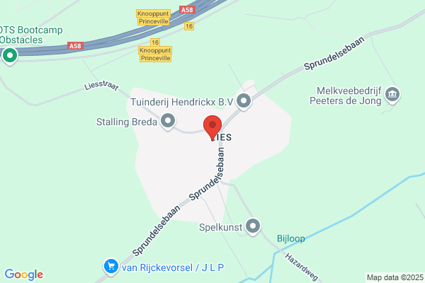 Bijderwieden
