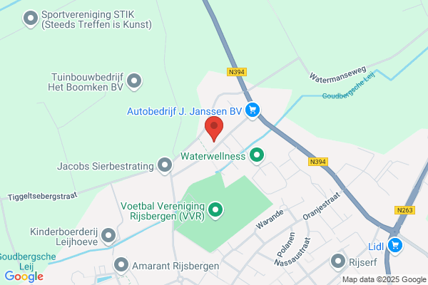 Hanegraaf, P J J