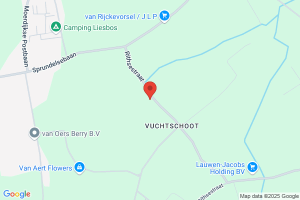Riemsdijk Bv, P J Van