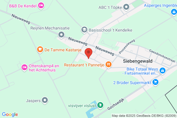 Muurschilderingen M J van Schaik