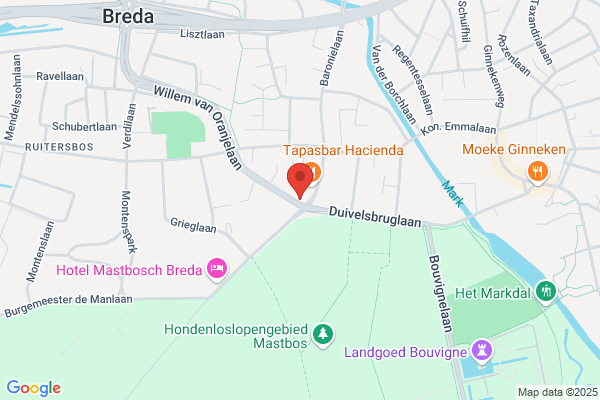 Boxtel Bv, Van