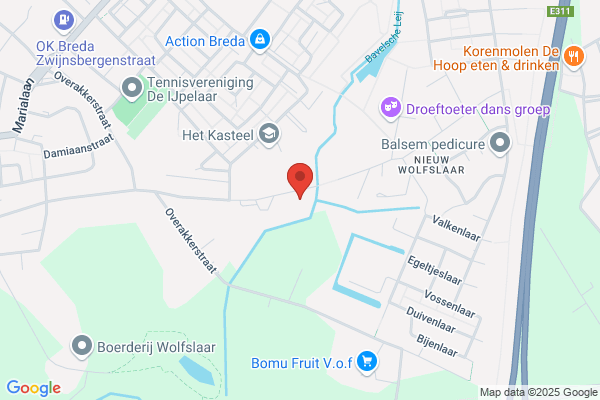 Belvedere Nieuw Wolfslaar