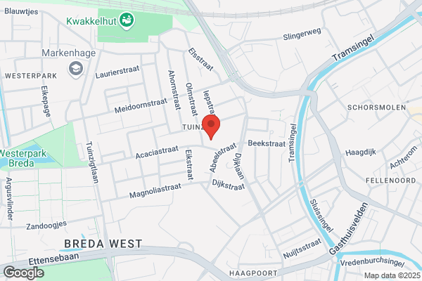 Decoratief Design Han Van Haeften