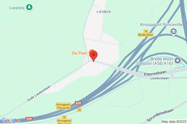 Electrovisie