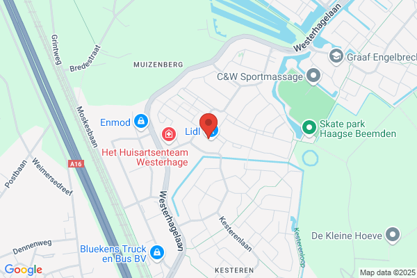 Disseldorp Bv, Van