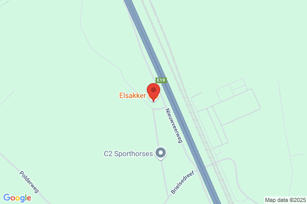 Elsakker