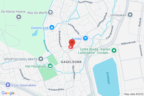 Dam Dakbedekkingen