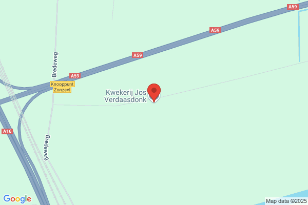 Verdaasdonk Joost