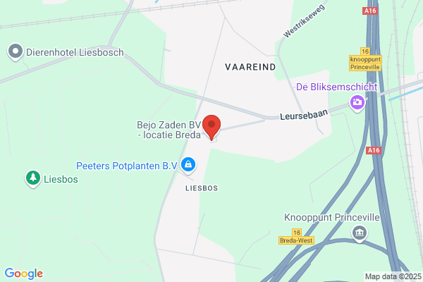 Van Hooijdonk Bv