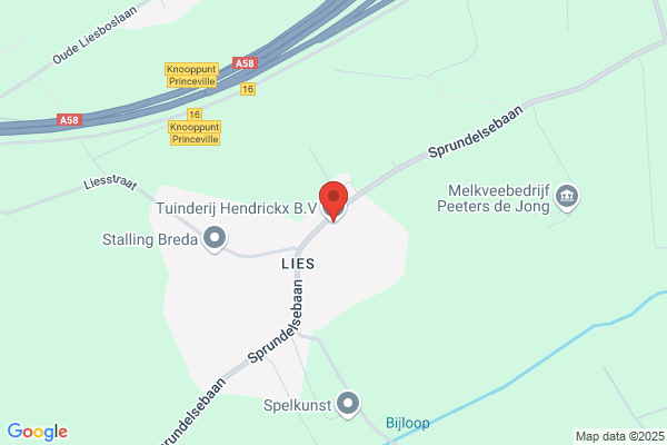 Hendriks/Van Den Hout