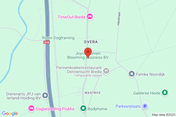 Oomen, J