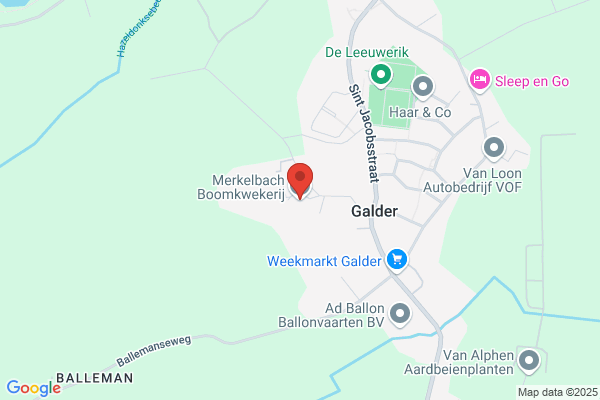 Merkelbach Hoveniers