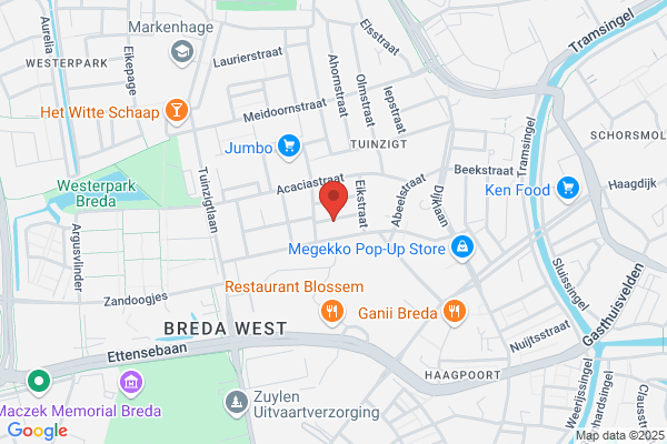 Konijnen Kunnen Springen