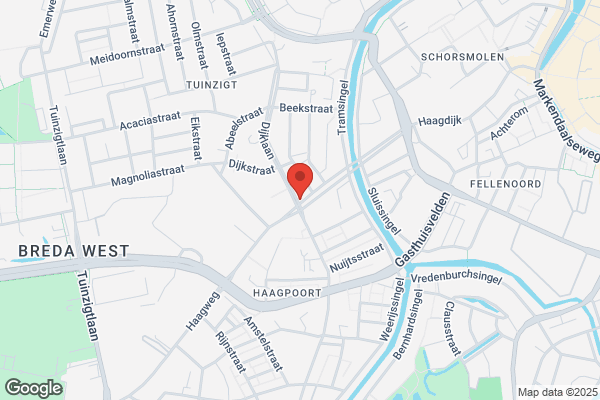 A.L. Van Der Steen Technisch Buro
