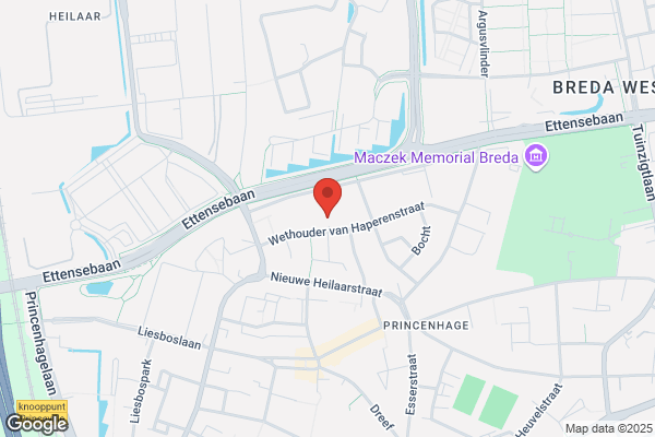 Hojpiepeloj