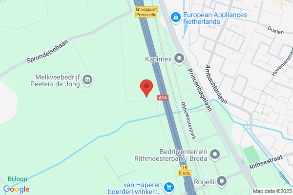 Pflitsch-Van Der Linden, M L