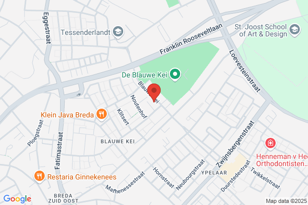 Politie Breda Blauwe Kei