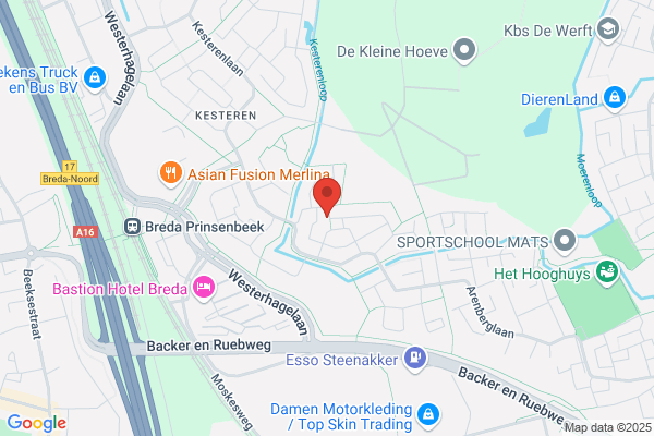 Timmermans Schilderwerken