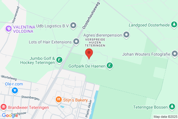 Park Zuiderhout