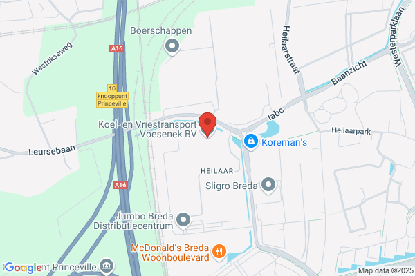 Voesenek